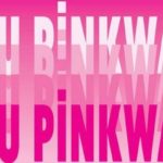 Stop-pinkwashing-vivretrans